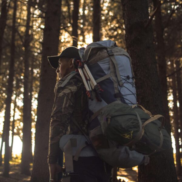 Man with a large backpack walks through a sunlit forest in Algeria, embracing adventure and nature.