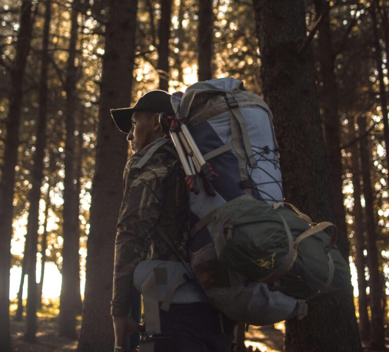 Man with a large backpack walks through a sunlit forest in Algeria, embracing adventure and nature.